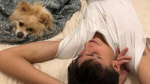 217 w 14th st, marshfield, wi 54449, usa. When Pet Owners Fall Ill With Coronavirus What Happens Next The New York Times