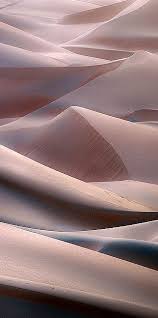 Nature Inspires Deserts Of The World Desert Landscaping Landscape