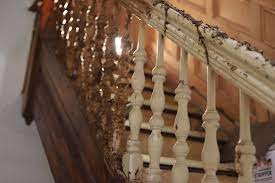 We did not find results for: Brownstone Boys How To Remove Decades Of Paint From Woodwork Brownstoner