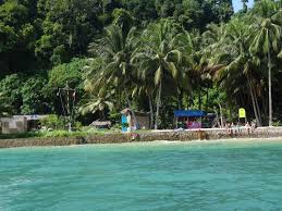 6,757 likes · 42 talking about this. Why You Should Go To This Permaculture Course In Malaysia Steemit