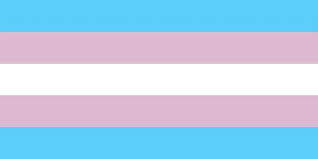 Cisphobia And Misandry Totes Real Pride Flags Misandry Lgbtq Flags