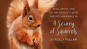 نتیجه جستجوی لغت [scurry] در گوگل