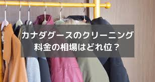 カナダグースのクリーニングはいくら位 どこに出す 高級ダウンのクリーニング屋選びのコツ 宅配クリーニング 比較ランキング おすすめ店を体験 口コミ評判が良くて安いのはどこ