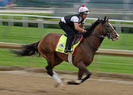 2019 Kentucky Derby Draw Horses Odds Analysis And Start Time The Denver Post