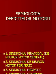 A motor neuron is nerve cell that controls movements of the muscle. Curs 2