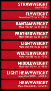 Ufc Weight Divisions Mma Workout Ufc Mma