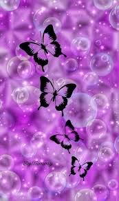 Black And Purple Butterfly Wallpaper Pin By Krysti Hannah On Animais Purple Butterfly Wallpaper Butterfly Wallpaper Backgrounds Butterfly Wallpaper