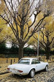 Mercedes Benz 280 Sl For A Starter In Getting A Head Start In Life Voitures De Collection Mercedes Benz Voiture