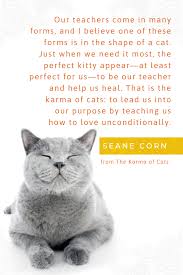 The Karma Of Cats Spiritual Wisdom From Our Feline Friends Save Me Quotes Friends Quotes Humanity Quotes