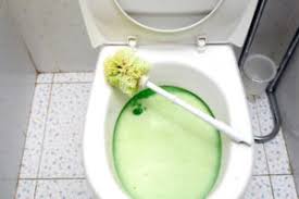 Образуйте предложения в präsens ( подсказка : Wc Bedeutung Geschichte Der Toilette