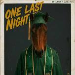 ONE LAST NIGHT