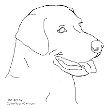 Dog Labrador Retriever Headstudy Coloring Page Labrador Retriever Art Dog Drawing Labs Art