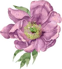 PATTY SUCHY and RICARDO GUICE II's Wedding Website