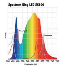 No doubt, led grow lights have come a long way, and now there are significant benefits to using both types of grow lights in a commercial or personal indoor grow room or cultivation. 11 Easy Guidelines To Know Before Buying Grow Lights