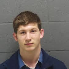 Police: Crawfordsville man set cat