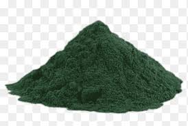 spirulina png images pngegg spirulina png images pngegg