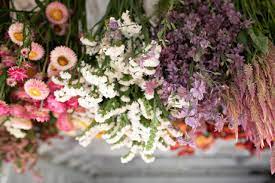 Check spelling or type a new query. Discovering Dried Flowers Floret Flowers
