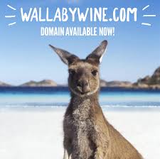 Do You Own The Best Wine Club Down Under This Is The Perfect Domain For Your Wine Label Kangaroo Art Kangaroo Baby Australia