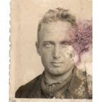 Zoekresultaten » Zoekplaatjes » Stamboom Forum