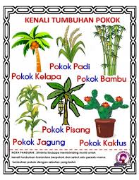 Cara merawat tanaman agar tumbuh dengan subur sebenarnya dapat dilakukan dengan mudah, bahkan kita bisa mempraktekkannya sendiri tanpa bantuan jasa gardener. Bacaan Murid Pra Sayangku Tumbuh Tumbuhan Dan Bunga