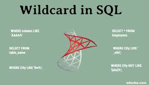 If you are a seminole wild card member, all you have to do is activate your online account to view your tier status, check balances, book exclusive offers, and more. Wildcard In Sql Learn The Syntax And Examples Of Sql Wildcard