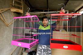 Semakin bagus sangkar, biasanya akan semakin sulit proses pembuatannya, kecuali anda memang sudah terbiasa. 3 Cara Merawat Sangkar Burung Dari Kayu Bambu Dan Besi Burungnya Com