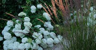 Jardinsurlaseine On Instagram Have A Nice Sunday Jardinsurlaseine June2018 Jardin Garden Gardening Gardenpath Gardening Garten Instagram