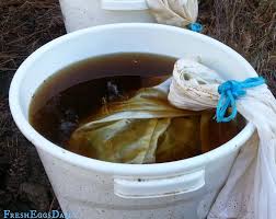 How To Brew Chicken Manure Tea For Your Garden Chicken Manure Chicken Composting Manure Tea