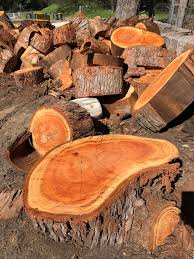 Servicing the elkhart & mishawaka areas. Homepage Above The Rest Tree Care Ulladulla Tree Services
