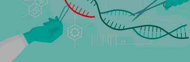 Check spelling or type a new query. The Future Of Crispr Cell Therapies Is Gmp