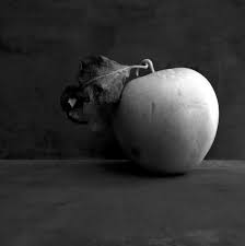 Black And White Art Photography Black And White Apple Still Life Fine Art Photo Digital Download Fine Art Photo Black And White Still Life Photos