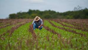 Uma imagem de um homem do campo armado com um rifle acompanha uma mensagem parabenizando os agricultores. 28 De Julho Dia Do Agricultor Parabens Aos Que Alimentam A Nacao