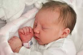 Právě jsme přišli na svět. Prohlédněte si fotky novorozenců