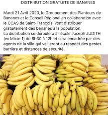 Las bananas pueden ayudarnos cuando estamos intentando bajar de peso, ya que disminuyen la en definitiva, comer una banana puede ayudar a promover las funciones del sistema nervioso. Canal 10 Distribution De Bananes Gratuites Facebook