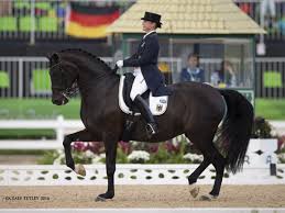 Fei world cup finals dressage musical freestyle omaha 2017i apologize for not getting video of each competitors' tests in this event. Isabell Werth And Weihegold Old Move To Top Of World Ranking List Ps Dressage