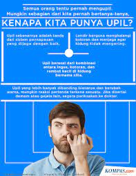 Kera sangat sulit menghasilkan vokalisasi tanpa adanya keadaan. Infografik Misteri Tubuh Manusia Kenapa Kita Punya Upil