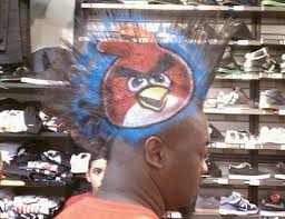Name Bird With Crazy Hair Angry Birds Mohawk Bad Haircut Terrible Haircuts Weird Haircuts