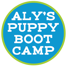 Compare services side by side, and ask each dog trainer you contact if it's possible to schedule a. Aly S Puppy Boot Camp Home Facebook