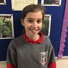 Scoil Phádraic Cailíní