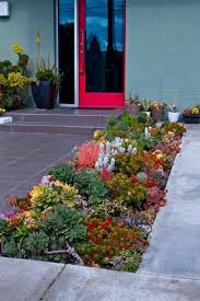 Vorgarten Gestalten Pflegeleicht Sukkulenten Verschiedene Arten Farben Jpg 750 1125 Jardins Avant Jardins Idees Jardin