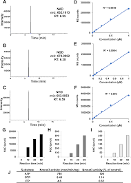 Metabolism And Biochemical Properties Of Nicotinamide