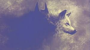 Cool Wolf Wallpapers 31 Images Wallpaperboat Follow the vibe and change your wallpaper every day! cool wolf wallpapers 31 images