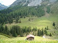 Die bewegende geschichte der geretteten… Arosa Barenland Wikipedia