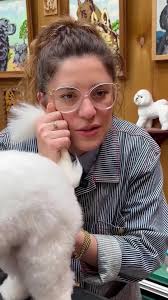 If you'd like to learn more about dogs and energy, click the link in my bio  for my free guide, “How to Speak Dog” #poodle #minipoodle #oneeyeddog  #doggrooming #doggroomer #doggroomersofinstagram