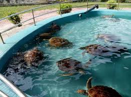 9 tempat percutian di perak yang menarik buat seisi keluarga. Tempat Menarik Di Lumut Teamtravel My