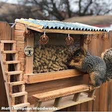 Pin On Squirrel Feeder Diy