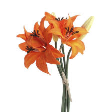 Top 25 most beautiful flowers in the world. 5 Types Of Cut Flowers Widely Grown In The Philippines Wazzup Pilipinas News And Events