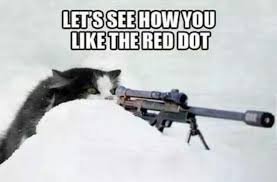 Cat Laser Meme Cat Quotes Funny Red Dots Funny Cats