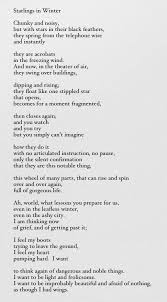 Pin By Savannah Campbell On W O R D S Mary Oliver Poems Winter Poems Poem Quotes