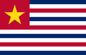 A pelican tearing at its breast to feed its young is the central emblem of the flag. Milledge L Bonham Jr The Flags Of Louisiana